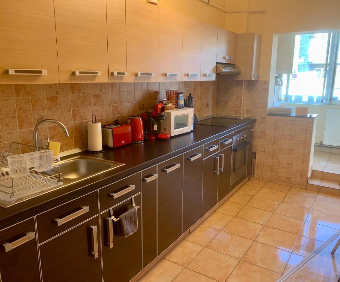 Jad - Family - Apartments - Zorilor Brassó Kültér fotó