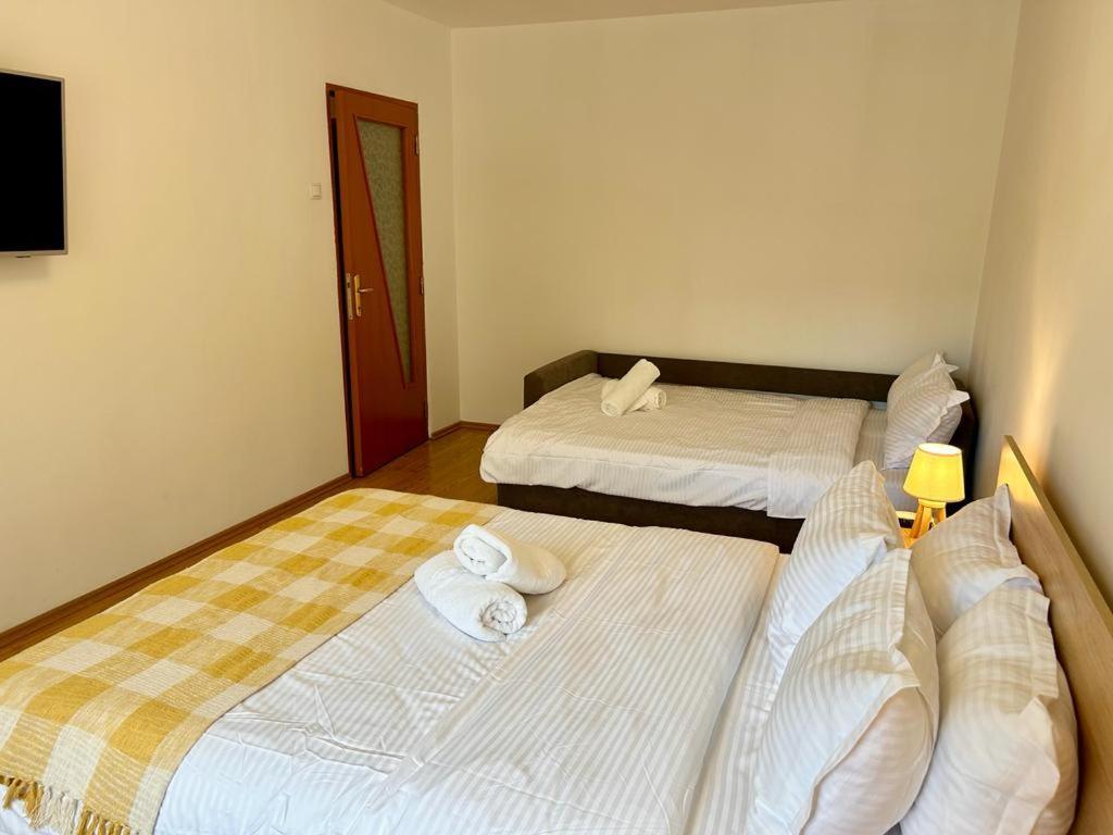 Jad - Family - Apartments - Zorilor Brassó Kültér fotó