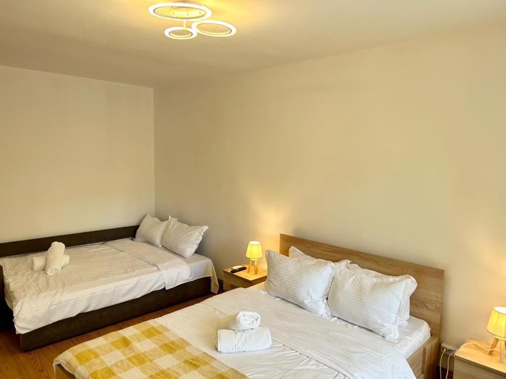 Jad - Family - Apartments - Zorilor Brassó Kültér fotó