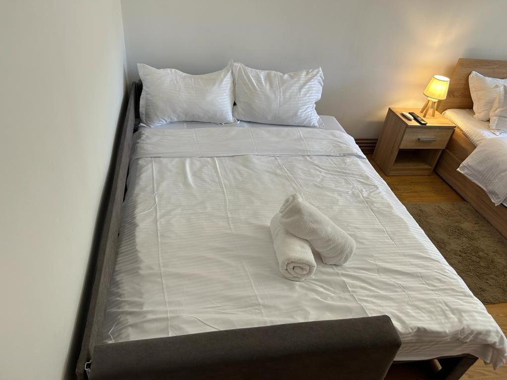 Jad - Family - Apartments - Zorilor Brassó Kültér fotó