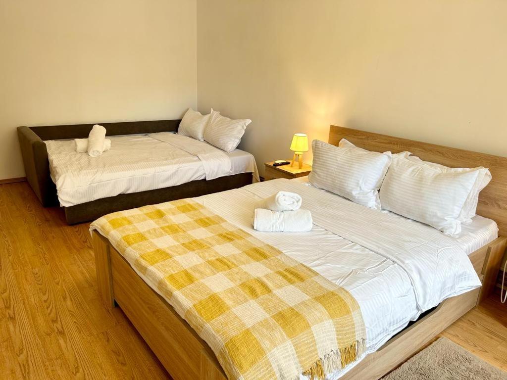 Jad - Family - Apartments - Zorilor Brassó Kültér fotó