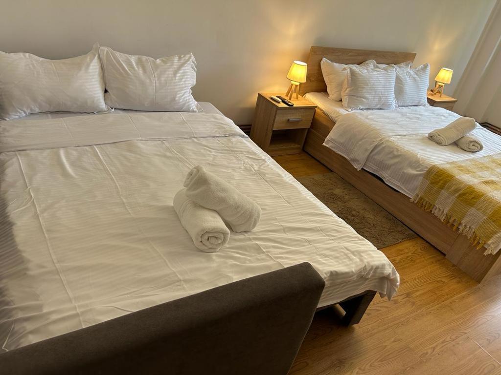 Jad - Family - Apartments - Zorilor Brassó Kültér fotó
