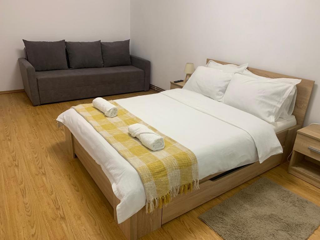 Jad - Family - Apartments - Zorilor Brassó Kültér fotó