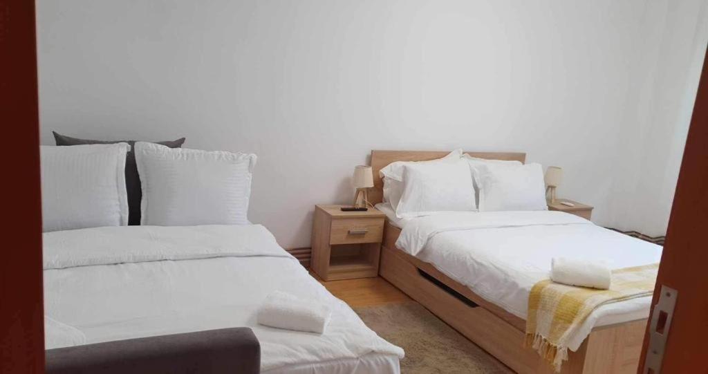 Jad - Family - Apartments - Zorilor Brassó Kültér fotó